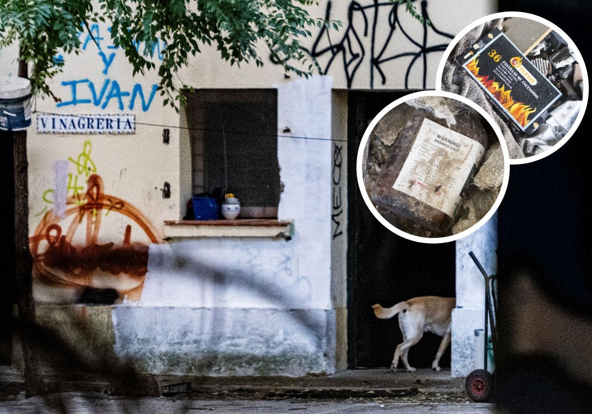 Un perro en la vieja vinagrería de la fábrica abandonada de El Encín