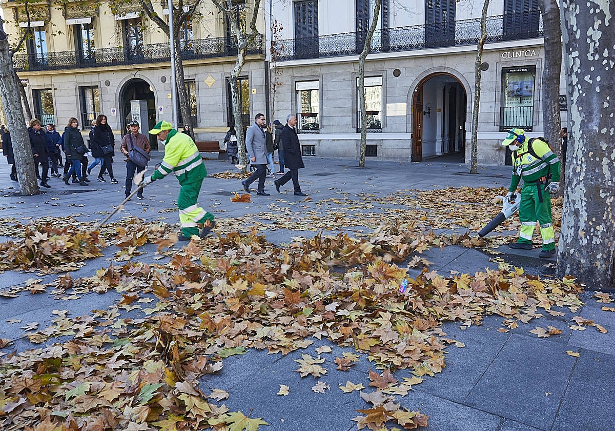 Dos operarios limpian las hojas del suelo, en la Puerta de Alcalá
