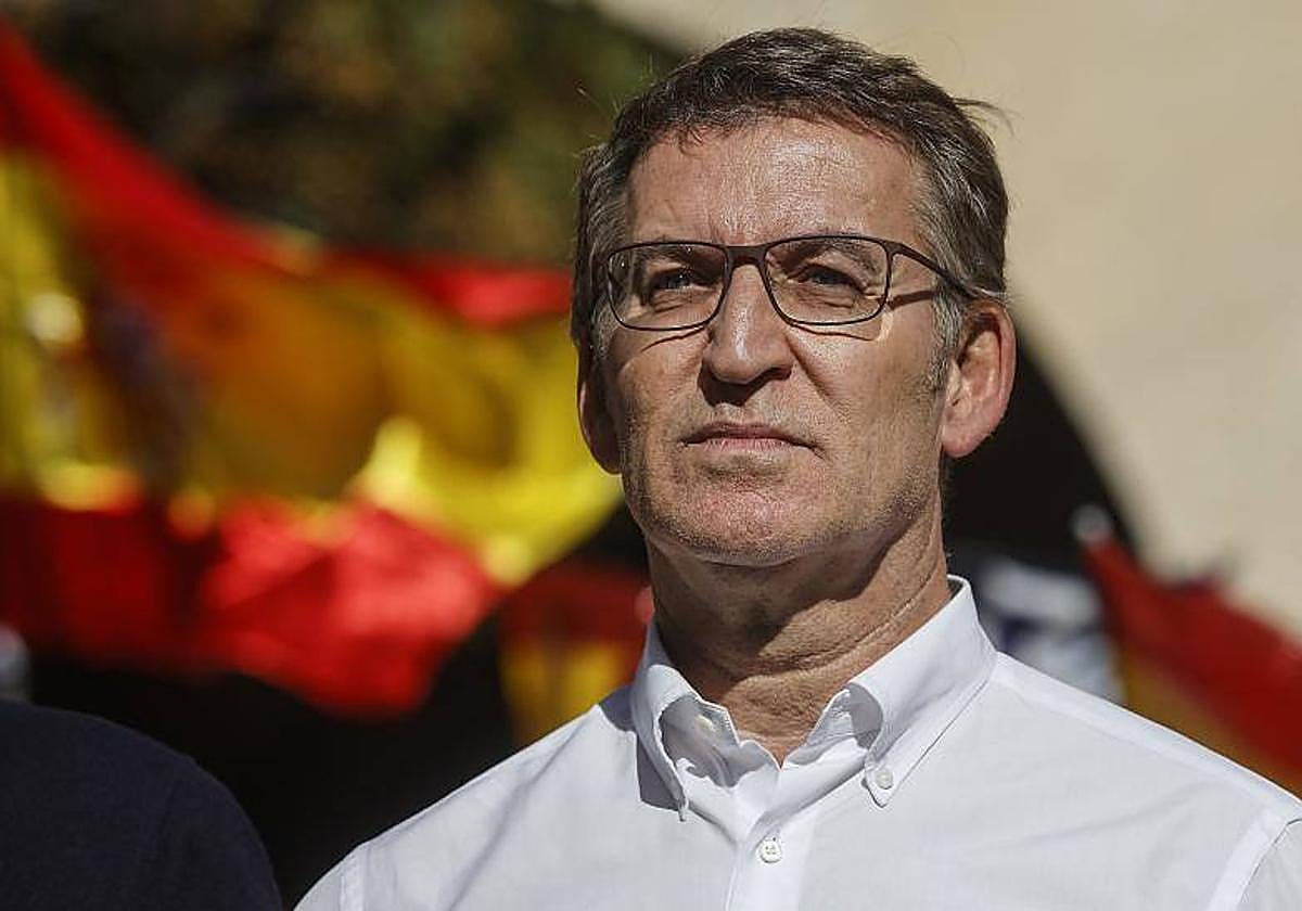 El presidente del PP, Alberto Núñez Feijóo, durante una manifestación de su partido contra la amnistía