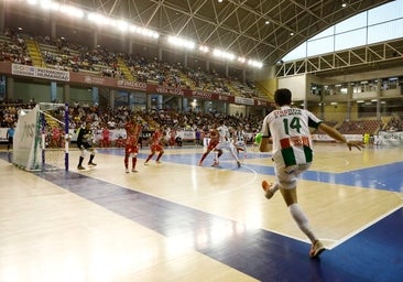 Córdoba Arena, el nuevo pabellón multiusos que proyecta Urbanismo y todas las nuevas obras de 2024