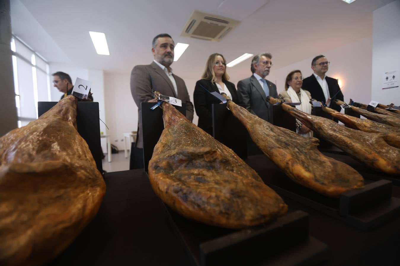 Fotos: cómo se elige al mejor jamón cien por cien ibérico del Valle de Los Pedroches