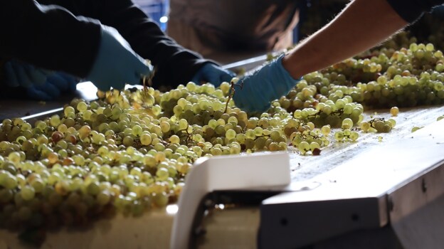 Guadianeja Airén Encastado, el vino de Ciudad Real que sublima un 