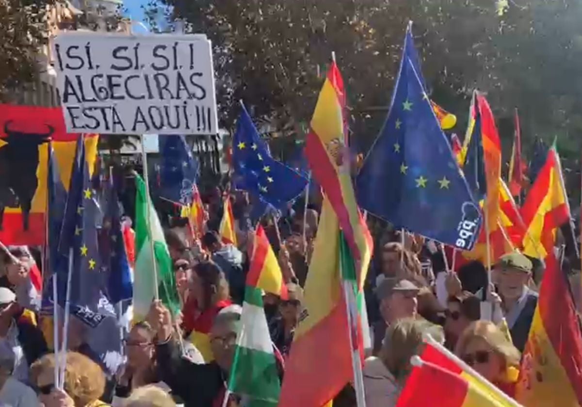 Manifestantes en Cádiz con múltiples banderas y carteles. Asistentes a las protestas de Cádiz: 3.800