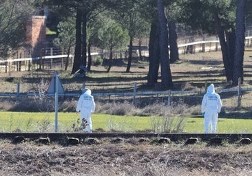 El informe de la Guardia Civil mantiene que Óscar atropelló a Esther López fruto de un «arrebato en caliente»
