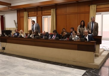 El Pleno del Ayuntamiento Córdoba vuelve a censurar la amnistía por segunda vez