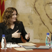 El Govern no publica en español su web porque no es de «atención ciudadana»