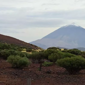 Manga corta y bañador para recibir las primeras nevadas del Teide