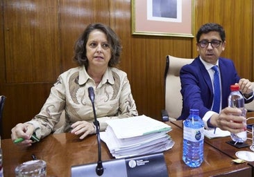 La consejera de Salud dice que no dimitirá y que «el sistema sanitario funciona como nunca»