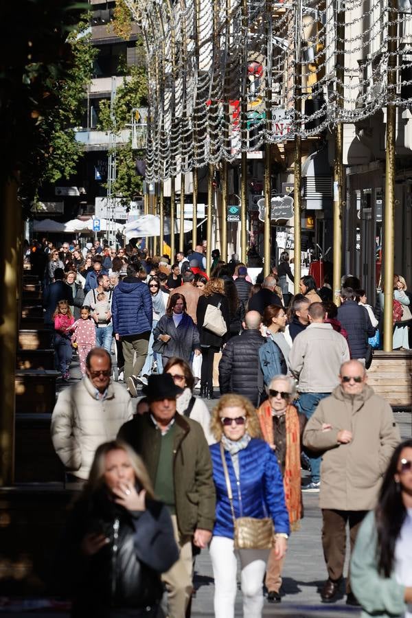 Fotos: ambientazo en la calle en busca de las ofertas del Black Friday en Córdoba