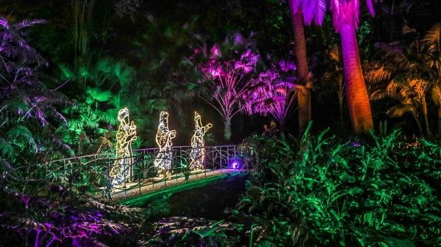 Espectáculo de luces en el Jardín Botánico