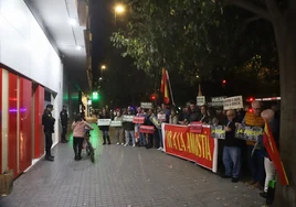 Fotos: Vox encabeza una nueva protesta en la sede del PSOE de Córdoba contra la amnistía