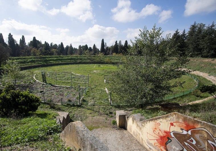 La circunferencia central del antiguo bosque atómico de Alcalá