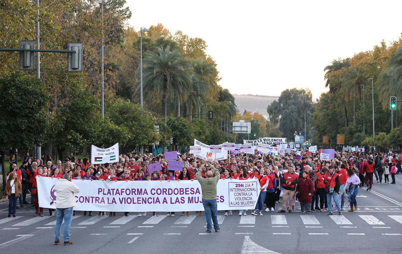 Fotos: la concurrida manifestación contra la violencia machista en Córdoba