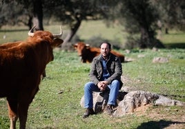 Felipe Molina : «Si las administraciones y los ganaderos no actuamos juntos, desapareceremos»