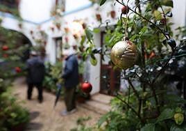 Guía de Navidad en Córdoba 2023: encendido de luces, Patios, zambombas y todas las actividades que puedes hacer