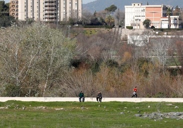 La propuesta de una promotora andaluza de un parque comercial reactiva el plan del Cordel de Écija de Córdoba