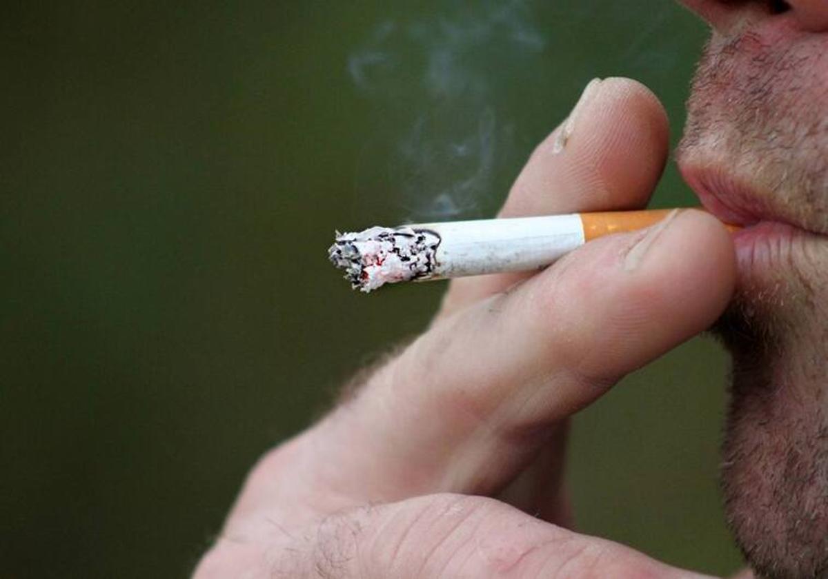 Se sabe que el tabaco mata, pero ahora también que arruina: Una caja de  puros costará 1.900 euros - Agroinformacion