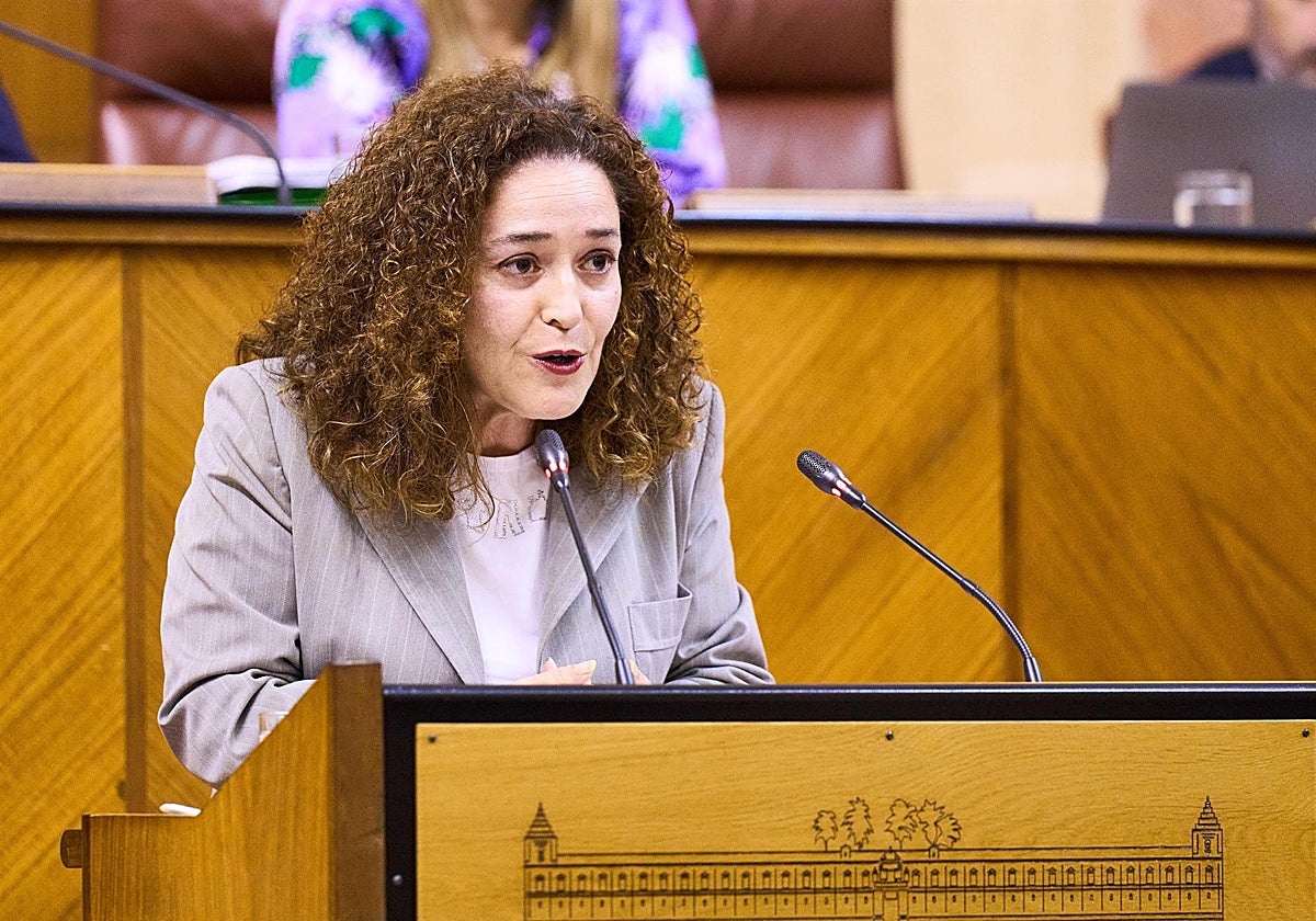 Inmaculada Nieto, portavoz de Por Andalucía, durante el debate
