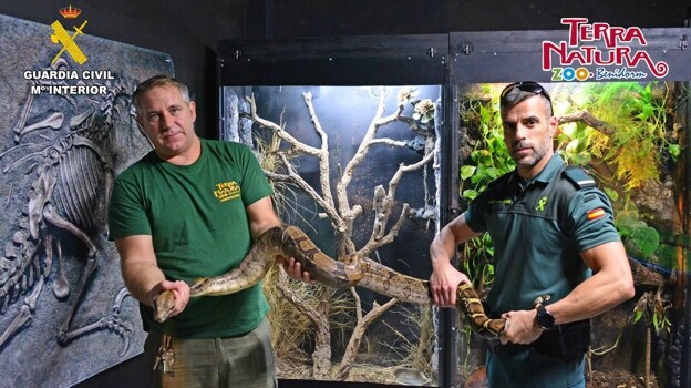 Imagen de un herpetólogo de Terra Natura y un guardia civil sosteniendo la boa incautada