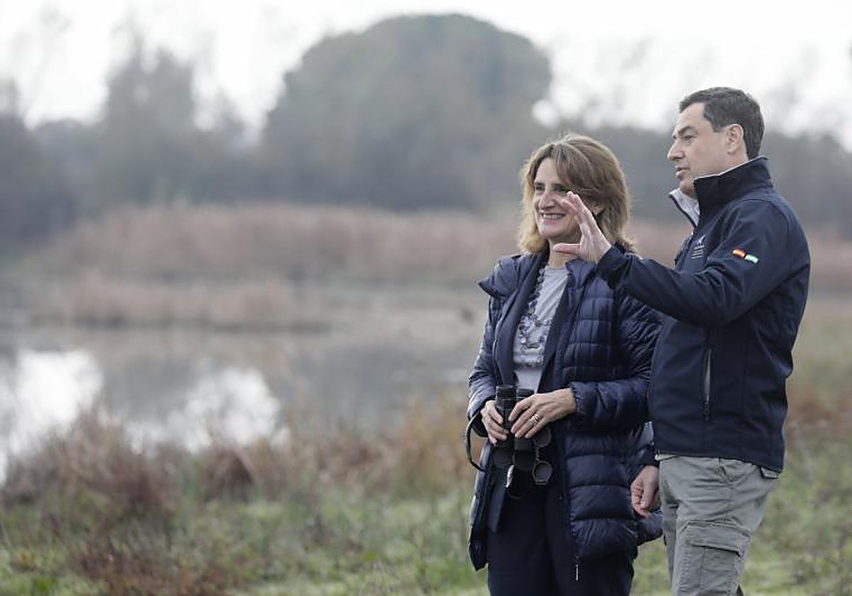 El presidente de la Junta, Juanma Moreno, y la ministra Teresa Ribera, paseando el pasado lunes en las Marismas del Rocío