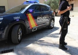 Dos ladrones roban material fotográfico valorado en 35.000 euros y les pillan en un control rutinario a los dos días