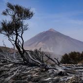 Localizan dos cadáveres en el Parque Nacional del Teide