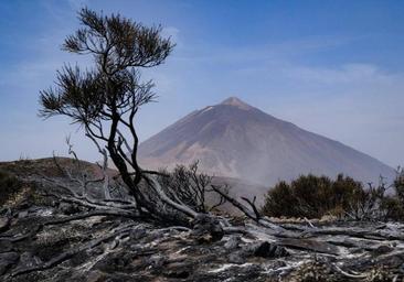 Localizan dos cadáveres en el Parque Nacional del Teide