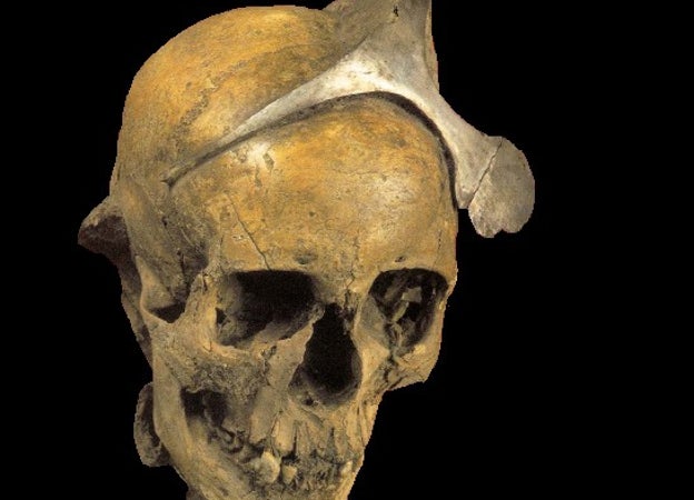 Restos de un cráneo con diadema de plata en una sepultura de El Argar.