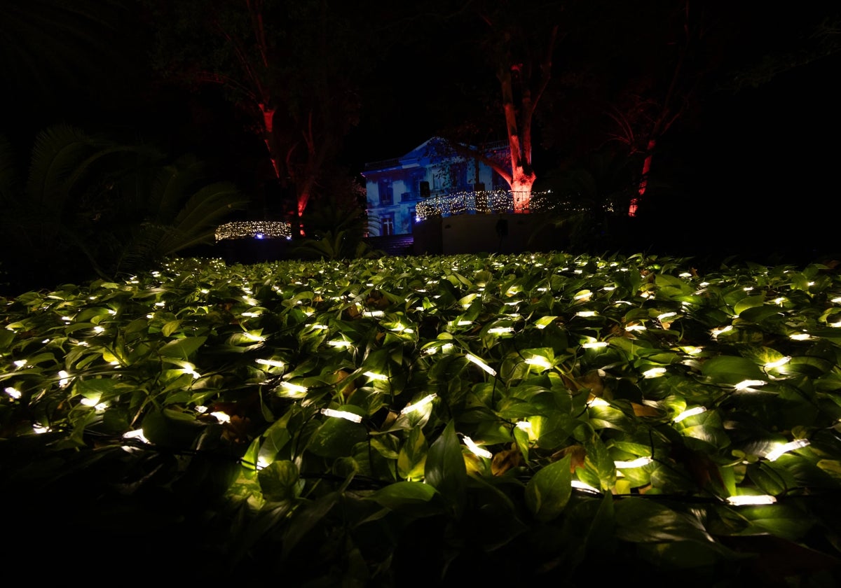 Luces en el Jardín Botánico de La Concepción