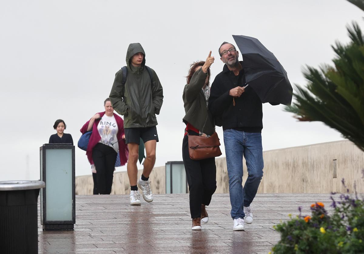 Turistas protegiéndose de la lluvia en el Puente Romano de Córdoba