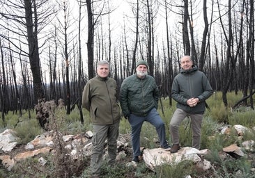 El chef José Andrés planta en Villardeciervos (Zamora) la semilla del 'Bosque Cascajares'