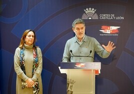 El PSOE denuncia que  20.000 hogares se quedarán sin las ayudas de las placas solares por el «colapso» de la Junta