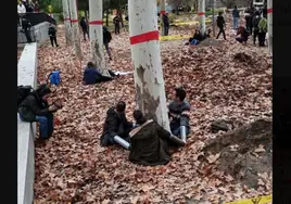 Varios activistas se cuelan en las obras de la L11 de Metro en Madrid Río y se atan en los árboles para evitar su tala