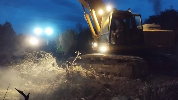 Las excavadoras allanando el terreno y arrasando el espacio donde se refugian los felinos, de noche.