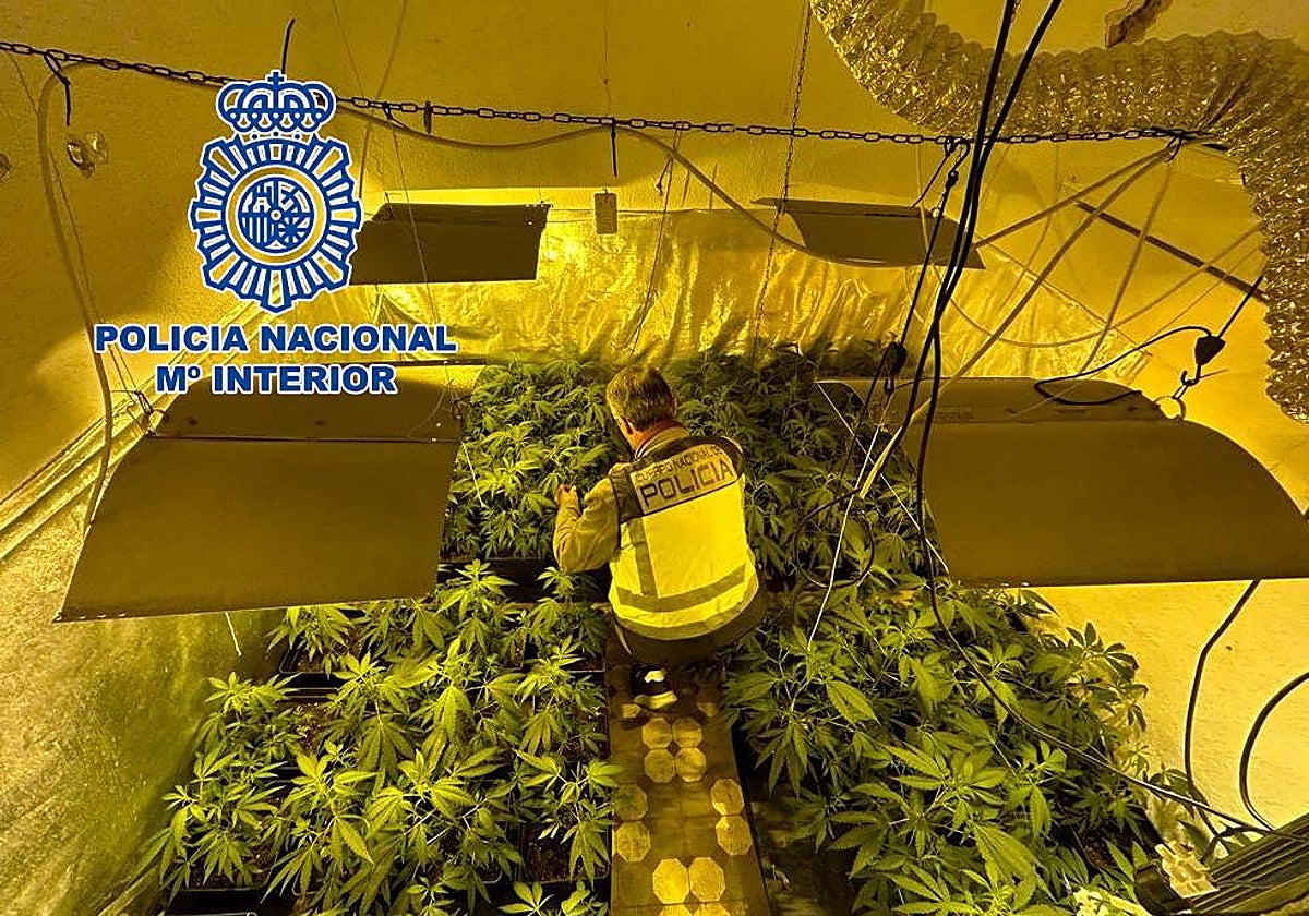 Imagen de uno de los laboratorios hallados por la Policía Nacional en Torrent
