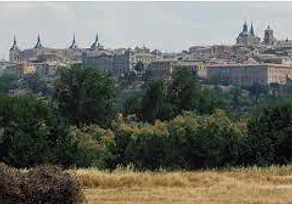 La Real Academia reitera su rechazo a construir el cuartel de la Guardia Civil en la Peraleda