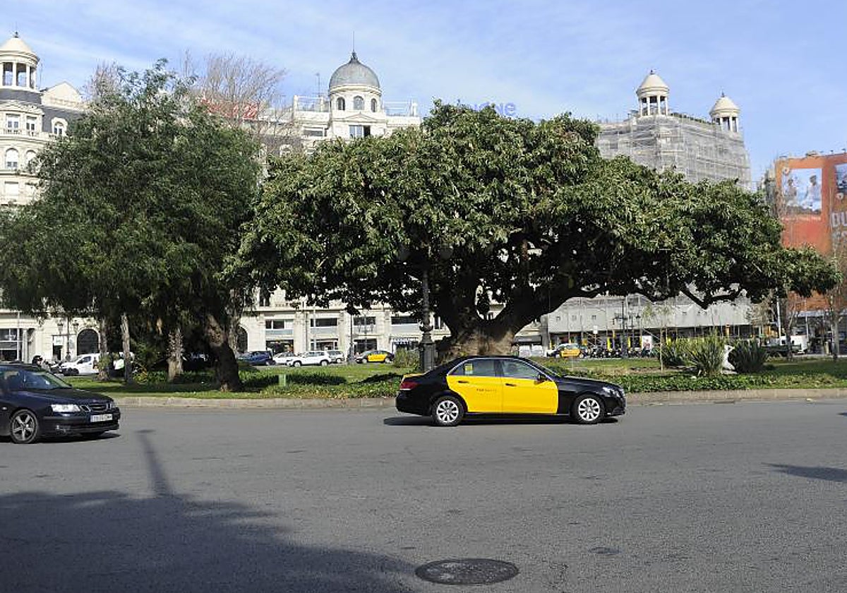 La zona de Francesc Macià, una de las que se beneficiará con las obras