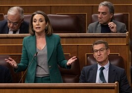 El «pacto encapuchado» entre PSOE y Bildu embarra la primera sesión de control desde mayo