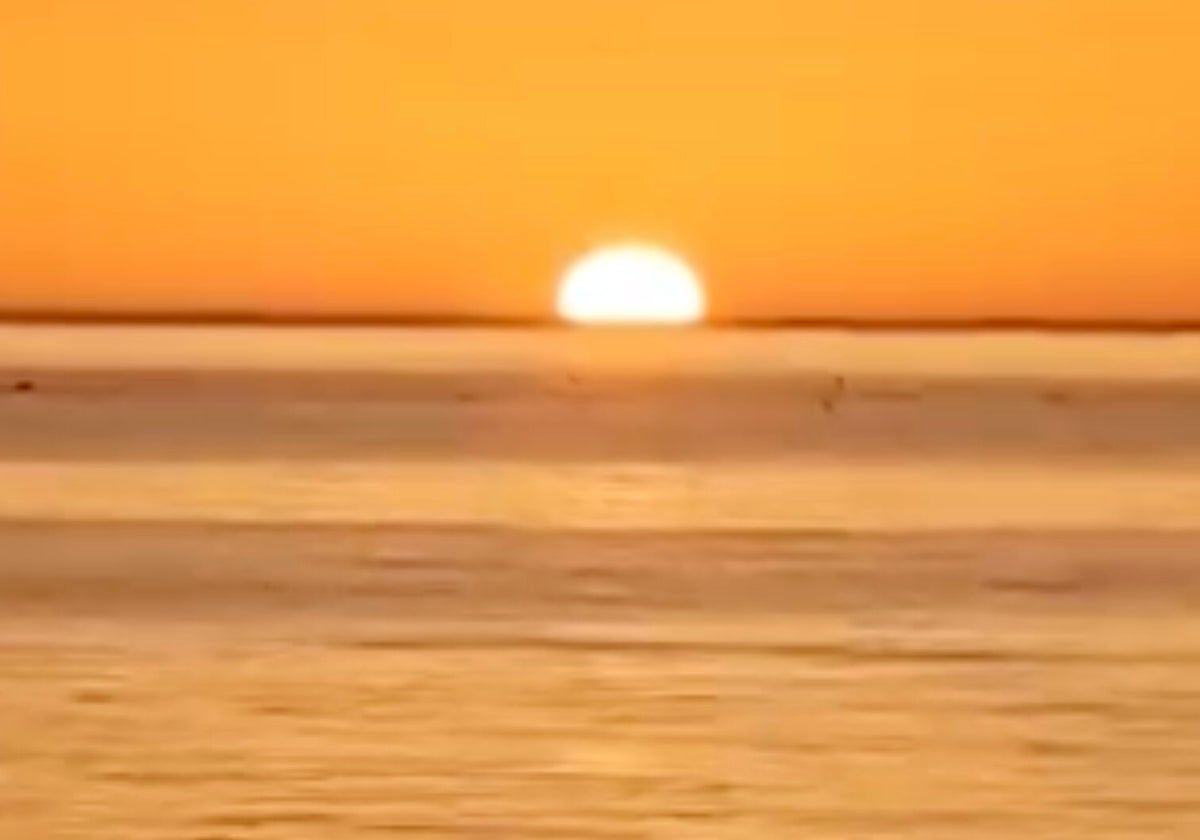 Un instante del vídeo de los delfines grabado frente a la costa