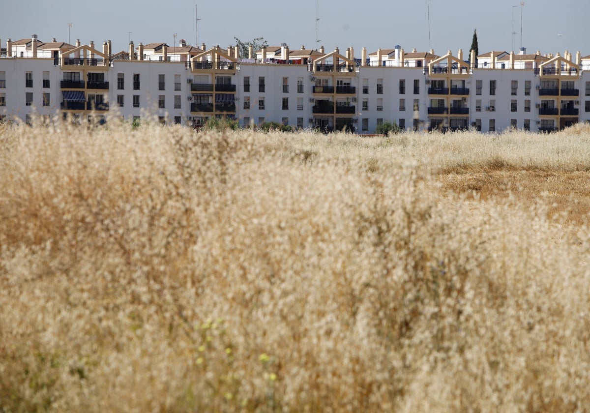 Suelos sin urbanizar del sector oeste de Huerta Santa isabel en Córdoba