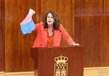 La reforma de la ley Trans de Madrid deriva en un tenso debate repleto de insultos y ataques de la izquierda al PP de Ayuso