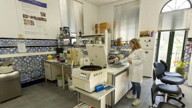 Cristina Ferrer, técnico de laboratorio.