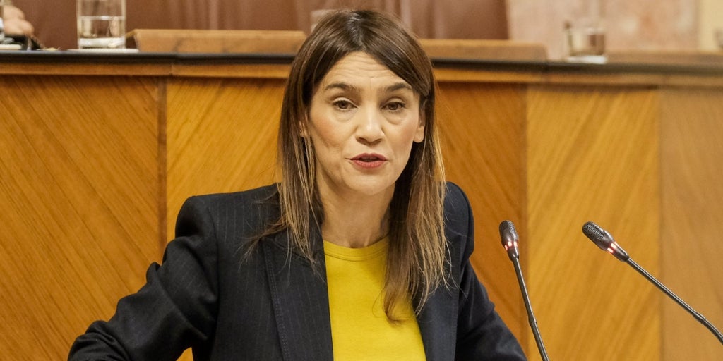 El PSOE advierte que la Junta podría devolver más de 425 millones por ...