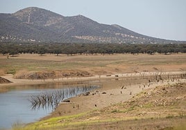 Se rompe la tendencia: los embalses andaluces pierden agua tras dos semanas consecutivas de subida