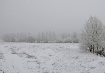 Así será el tiempo en Navidad en Castilla y León: heladas y sin previsión de nieve