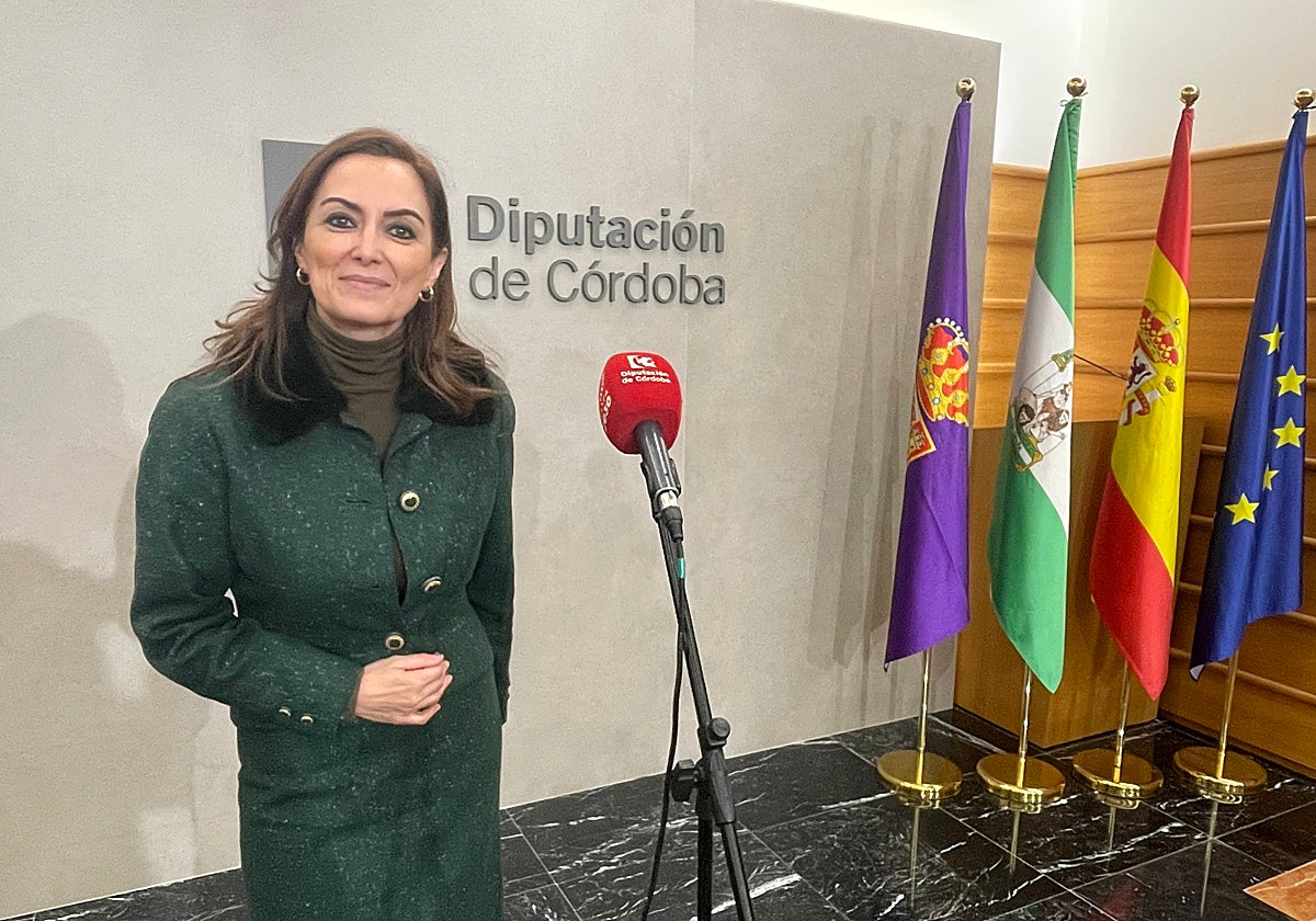 La portavoz del Vox en la Diputación, Yolanda Almagro