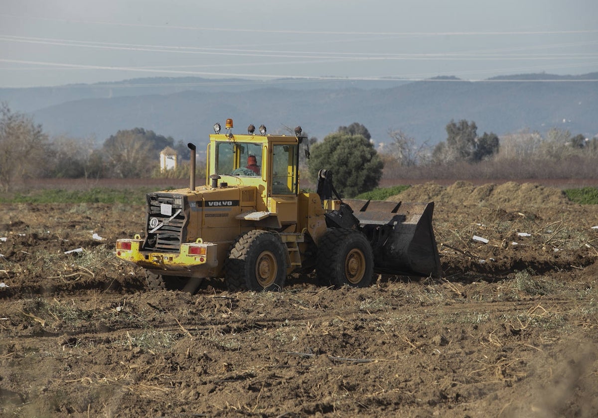 Trabajos en los terrenos de La Rinconada para la Base Logística del Ejército de Tierra