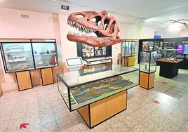 Los dinosaurios 'van' a la universidad en Burgos