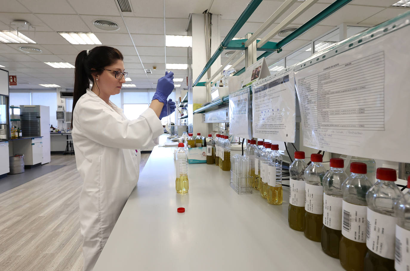 Fotos: así es la imponente planta de Deoleo en Córdoba