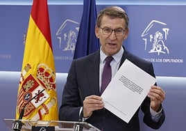 La reforma del artículo 49 emerge como primer y único pacto entre Sánchez y Feijóo en un mar de desencuentros